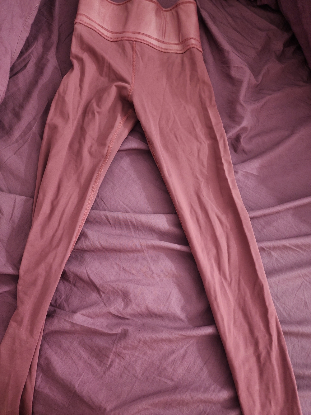 Carbon38 Seamless Leggings in Dusty Mauve